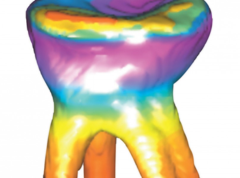 Curso 3D in Endodontics, 11 y 12 de diciembre Blog Proclinic